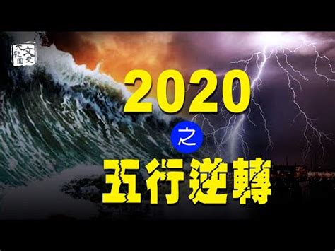 2020年五行